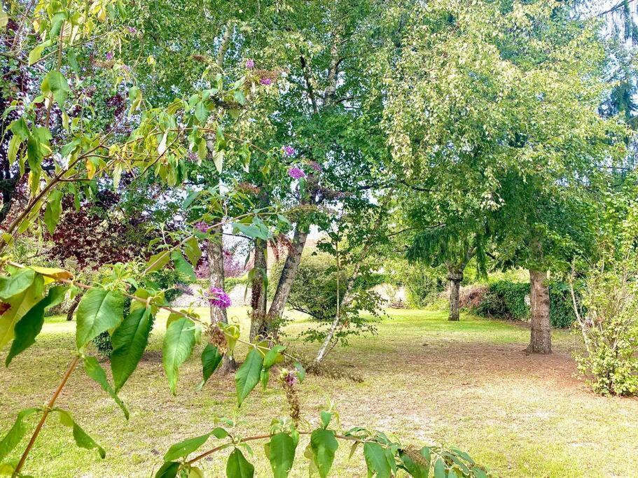 Demeure St Martin Βίλα Vierzon Εξωτερικό φωτογραφία