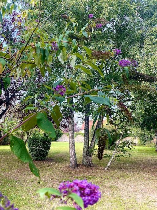 Demeure St Martin Βίλα Vierzon Εξωτερικό φωτογραφία